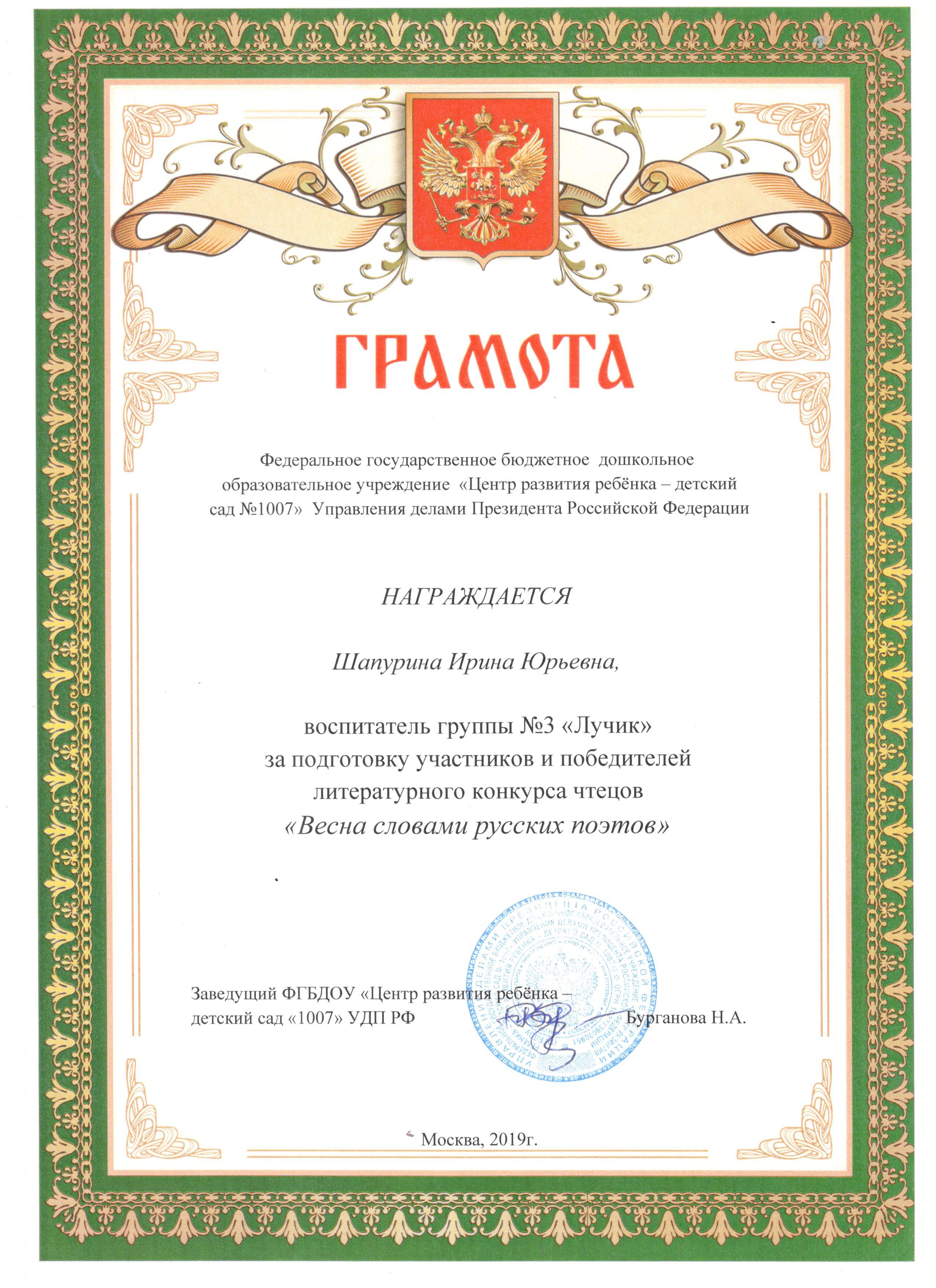 Шапурина Ирина Юрьевна: Профессиональная деятельность