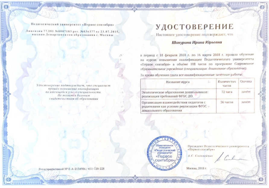 Шапурина Ирина Юрьевна: Мои сертификаты, свидетельства, дипломы