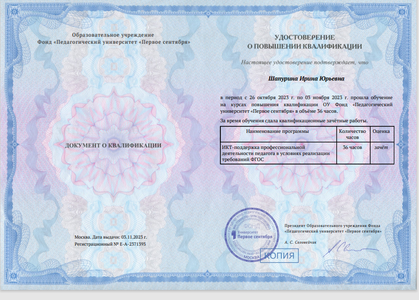 Шапурина Ирина Юрьевна: Мои сертификаты, свидетельства, дипломы