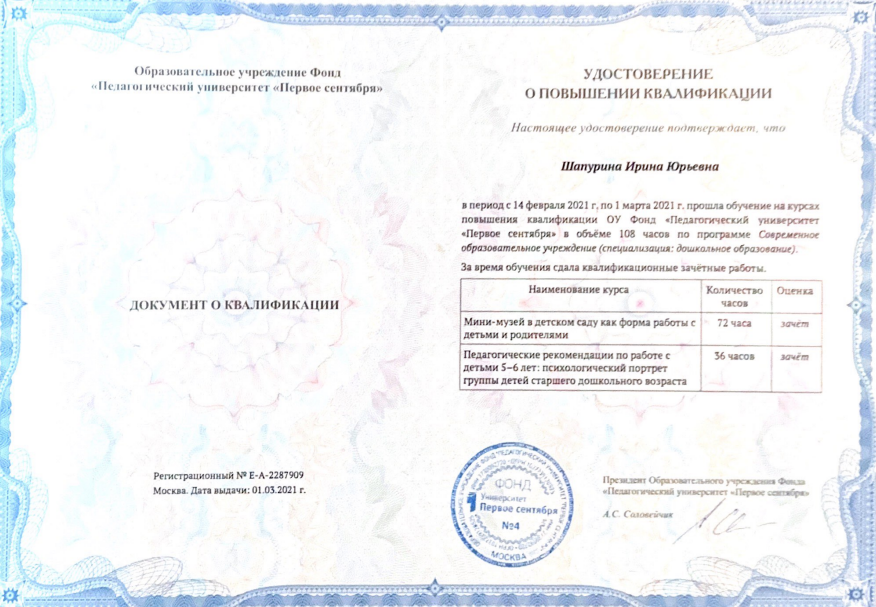 Шапурина Ирина Юрьевна: Мои сертификаты, свидетельства, дипломы